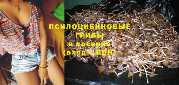 скорость Лиски