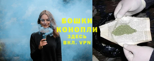 скорость Лиски