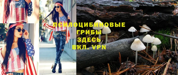 скорость Лиски