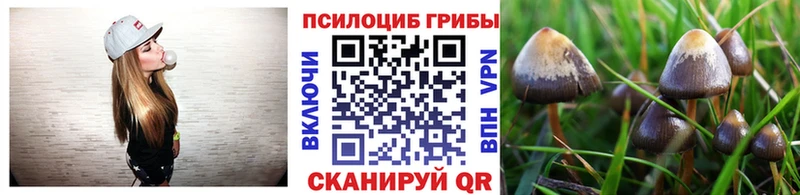 Галлюциногенные грибы Psilocybe  Шуя 