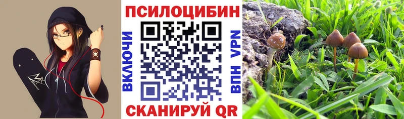 Галлюциногенные грибы ЛСД Шуя