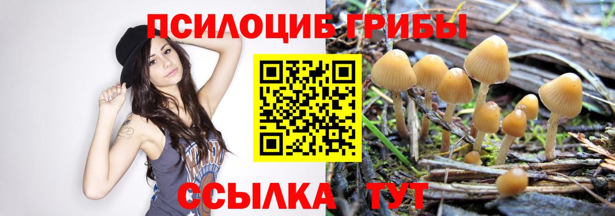 Псилоцибиновые грибы прущие грибы  Вход с VPN  наркошоп  Шуя 