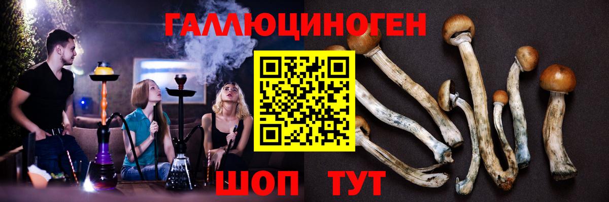 наркошоп  Шуя  Галлюциногенные грибы GOLDEN TEACHER 